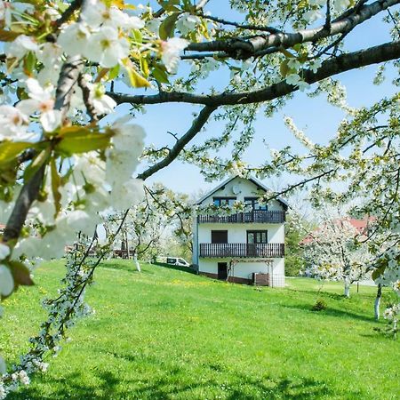 Отель House Spehar Селиште-Дрежничко Экстерьер фото