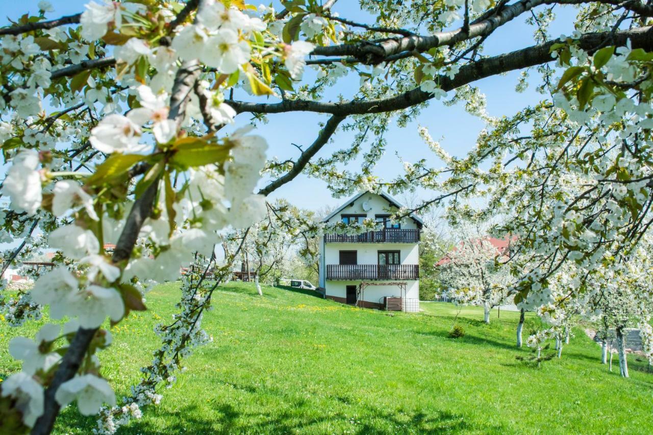 Отель House Spehar Селиште-Дрежничко Экстерьер фото