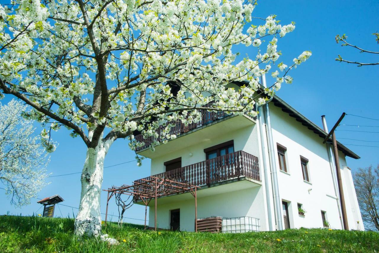 Отель House Spehar Селиште-Дрежничко Экстерьер фото