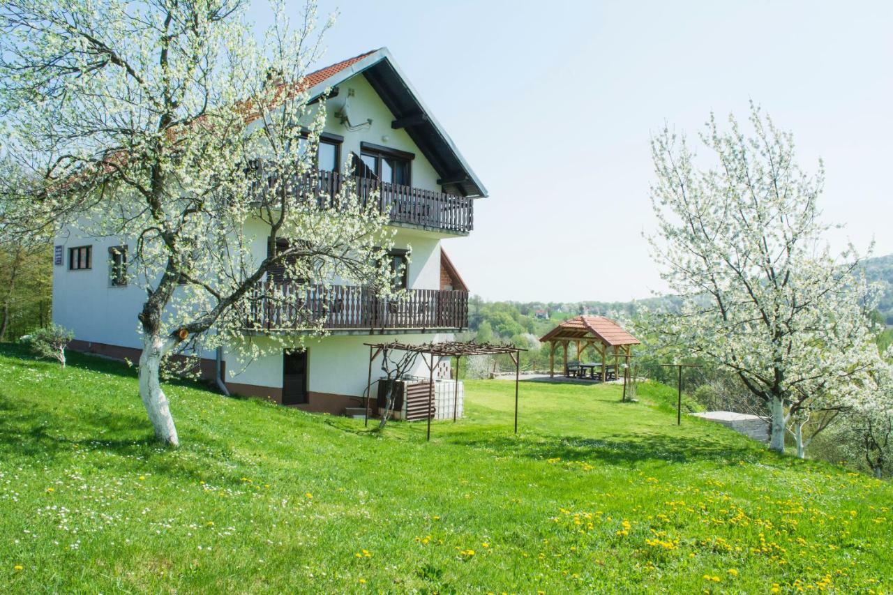 Отель House Spehar Селиште-Дрежничко Экстерьер фото
