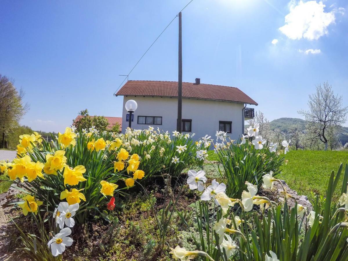 Отель House Spehar Селиште-Дрежничко Экстерьер фото