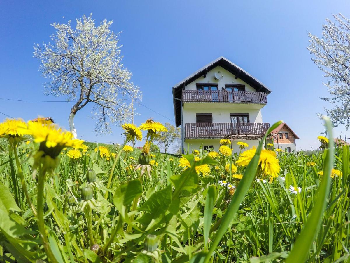 Отель House Spehar Селиште-Дрежничко Экстерьер фото