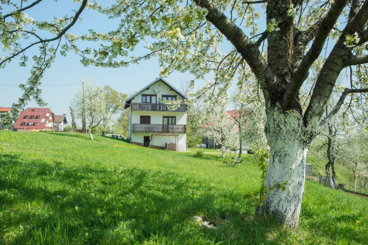 Отель House Spehar Селиште-Дрежничко Экстерьер фото